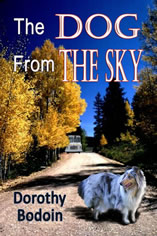 The Dog from the Sky